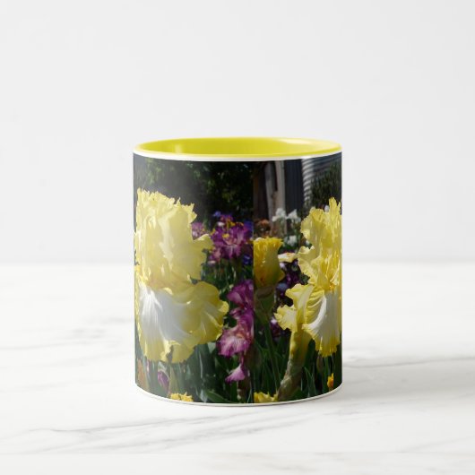 Gelbe Bartete Iris Iris Blume Zweifarbige Tasse (Mittel)