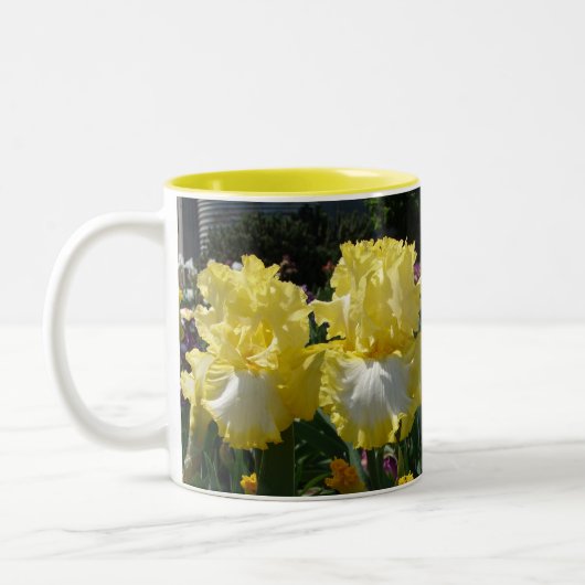 Gelbe Bartete Iris Iris Blume Zweifarbige Tasse (Links)
