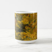 Gelbe Bäume des Herbstes Kaffeetasse (Mittel)