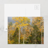 Gelbe Bäume in New Hampshire Postkarte (Vorne/Hinten)