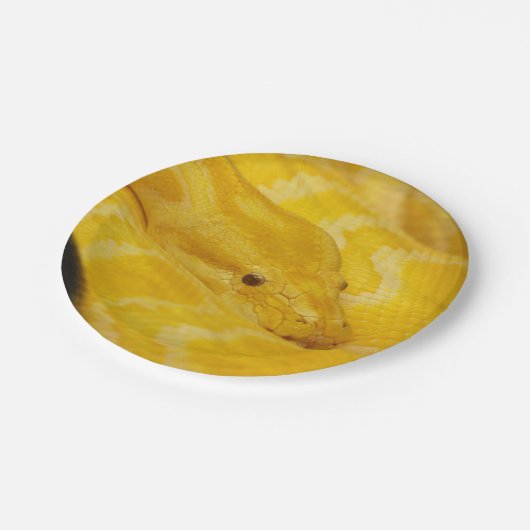 Gelbe birmanische Pythonschlange Pappteller (Schrägansicht)