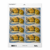 Gelbe Birnen auf blauem Papier Zeichnend Konservie (Vorne)