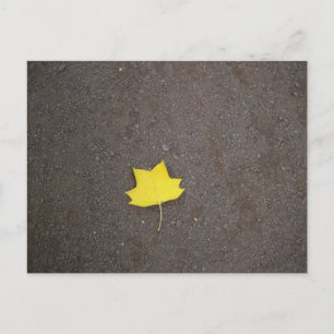 Gelbe Blatt-Fotopostkarte Postkarte
