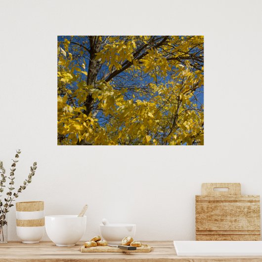 Gelbe Blätter auf Fall-Ash-Tree-Fotografie Poster (Küche)