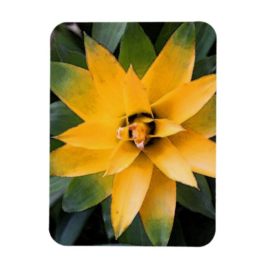 Gelbe Blätter aus der Pflanze, Magnet (Vertikal)