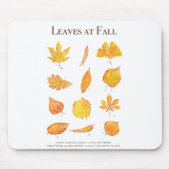 Gelbe Blätter bei Herbstsammlung Mousepad (Vorne)