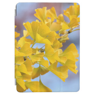 Gelbe Blätter Ginkgo Tree iPad Air Hülle