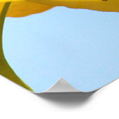 Gelbe Blätter Ginkgo Tree Poster (Ecke)