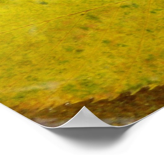 Gelbe Blätter in Stream Poster (Ecke)