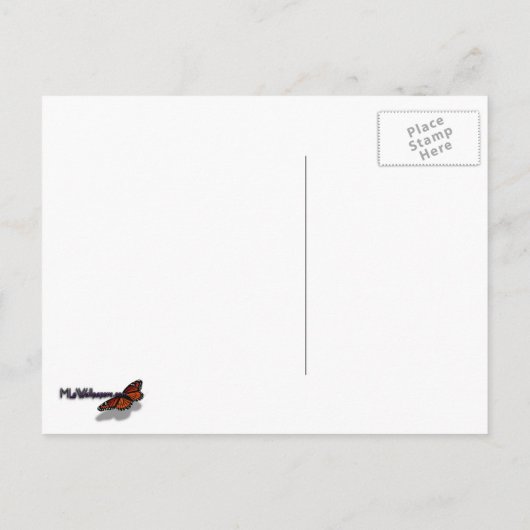 Gelbe Blätter in Stream Postkarte (Rückseite)