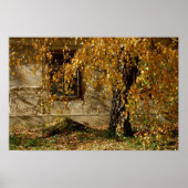 gelbe Blätter Poster (Vorne)