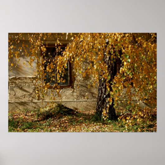 gelbe Blätter Poster (Vorne)