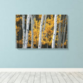 Gelbe Blätter und weiße Baumstämme Leinwanddruck (Insitu (Holzboden))