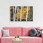 Gelbe Blätter und weiße Baumstämme Leinwanddruck (Insitu (Wohnzimmer))