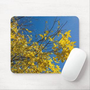 Gelbe Blätter zum Fall Ash Tree Nature Fotografy Mousepad