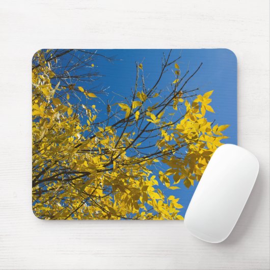 Gelbe Blätter zum Fall Ash Tree Nature Fotografy Mousepad (Mit Mouse)