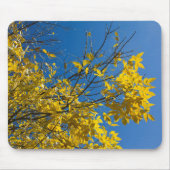 Gelbe Blätter zum Fall Ash Tree Nature Fotografy Mousepad (Vorne)