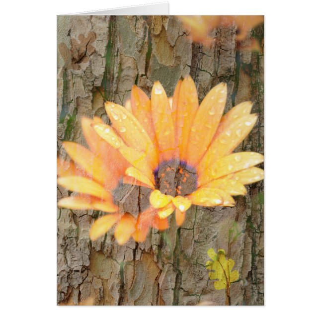 Gelbe Blume (Vorne)