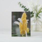 Gelbe Blume # 2 Postkarte (Stehend Vorderseite)