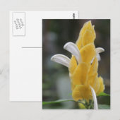 Gelbe Blume # 2 Postkarte (Vorne/Hinten)
