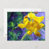 Gelbe Blume 2 Postkarte (Vorne/Hinten)