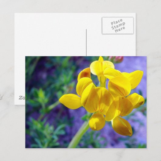 Gelbe Blume 2 Postkarte (Vorne/Hinten)