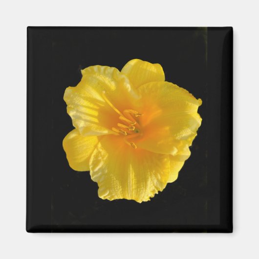 Gelbe Blume 2 Zoll Square Magnet (Vorne)