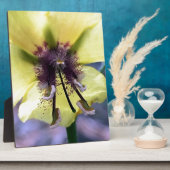 Gelbe Blume 3 Fotoplatte (Seite)