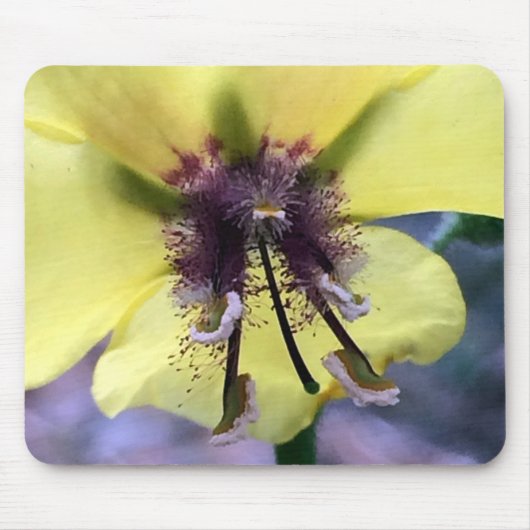 Gelbe Blume 3 Mousepad (Vorne)