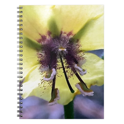 Gelbe Blume 3 Notizblock (Vorderseite)