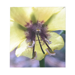 Gelbe Blume 3 Notizblock