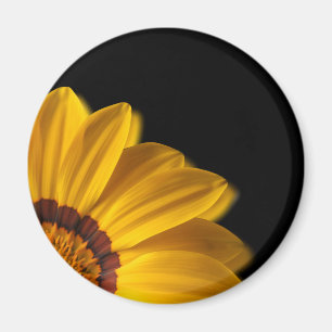 Gelbe Blume auf schwarzem Hintergrund Magnet