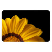 Gelbe Blume auf schwarzem Hintergrund Magnet (Horizontal)
