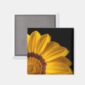 Gelbe Blume auf schwarzem Hintergrund Magnet (Vorderseite/Rückseite)