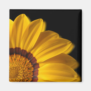 Gelbe Blume auf schwarzem Hintergrund Magnet