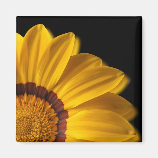 Gelbe Blume auf schwarzem Hintergrund Magnet (Vorne)