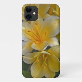Gelbe Blume aus der Goldenen Seele Case-Mate iPhone Hülle