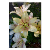 Gelbe Blume-Blankenkarte (Vorne)