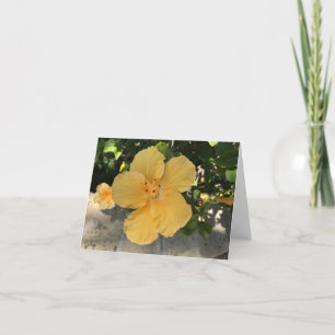 Gelbe Blume blühend Karte