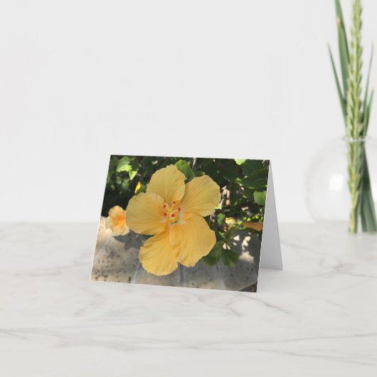 Gelbe Blume blühend Karte (Vorderseite)