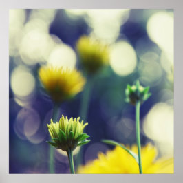 Gelbe Blume Buds in Sunlight Bokeh Poster