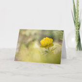 Gelbe Blume Buttercup Karte (Vorderseite)