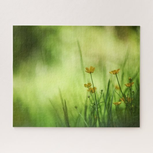 Gelbe Blume Buttercup Nature Foto Puzzle (Horizontal)