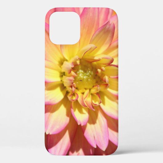 Gelbe Blume Dahlia Case-Mate iPhone Hülle (Rückseite)