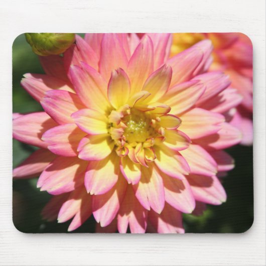Gelbe Blume Dahlia Mousepad (Vorne)