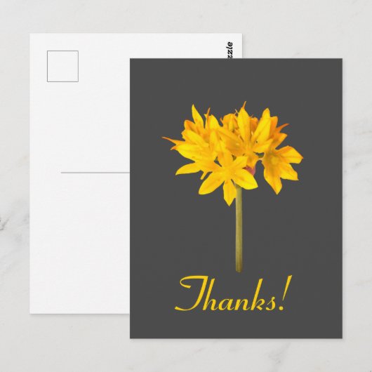 Gelbe Blume Danke Postkarte (Vorne/Hinten)