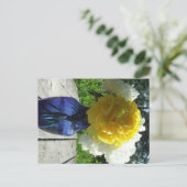 Gelbe Blume der Peonie in Blauer Vase Postkarte (Stehend Vorderseite)