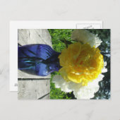 Gelbe Blume der Peonie in Blauer Vase Postkarte (Vorne/Hinten)