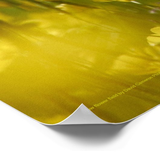 Gelbe Blume Feldposter Poster (Ecke)