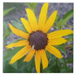 Gelbe Blume Fliese